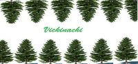 Vickinachi