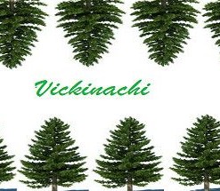 Vickinachi
