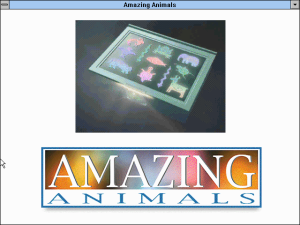 Amazing Animals: Activity Center
