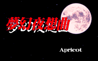 Nocturnal Illusion