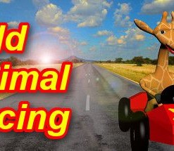 Wild Animal Racing