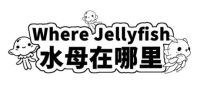 Where Jellyfish