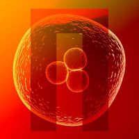 Nuclien