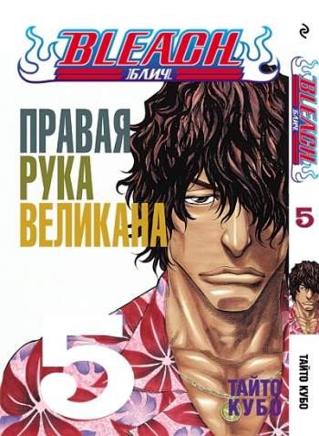 Блич. Том 5. Правая рука великана