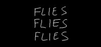 Flies Flies Flies