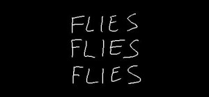 Flies Flies Flies