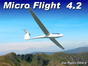 Micro Flight