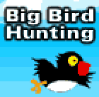 Big Bird Hunting