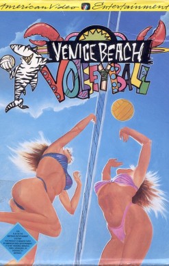 Venice Beach Volleyball