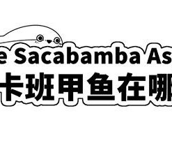 Where Sacabamba Aspises