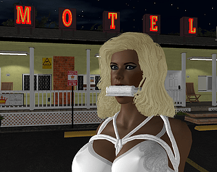 Motel Bondage