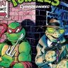 Teenage Mutant Ninja Turtles Adventures. Приключения Черепашек-Ниндзя. Книга 4. Решающая битва (мягкий переплет)