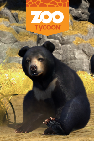 Zoo Tycoon: Sun Bear