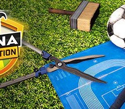 Arena Renovation