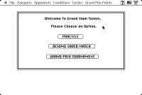 Grand Slam: World Class Tennis