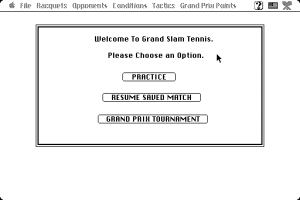 Grand Slam: World Class Tennis