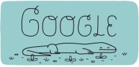 37th Anniversary of Komodo National Park