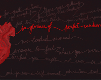 The Heartbeat You Never Had