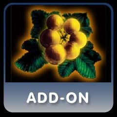 Wizardry: Labyrinth of Lost Souls - Fruit of Faith
