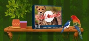 1001 Jigsaw: Wild Animals