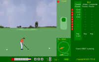 Hole in One