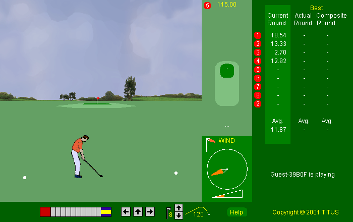 Hole in One