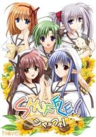 Shuffle!