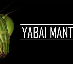 Yabai Mantis VR