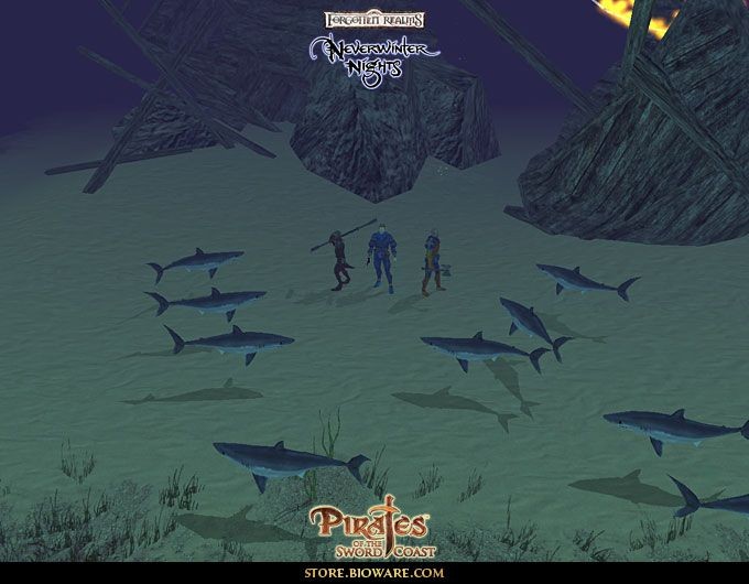 Neverwinter Nights: Pirates of the Sword Coast