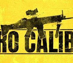 Zero Caliber