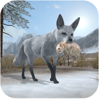 Arctic Fox