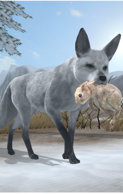 Arctic Fox