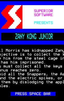 Zany Kong Junior