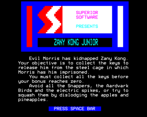 Zany Kong Junior