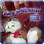 House of Wonders: Kitty Kat Wedding