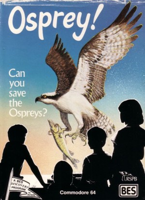 Osprey!