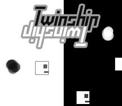 Twinship