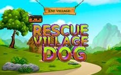 Village Rescue Dog