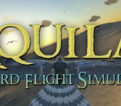 Aquila Bird Flight Simulator