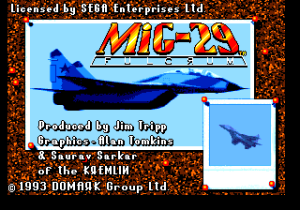 MiG-29: Fighter Pilot