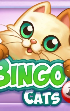 Bingo Cats