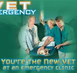 Vet Emergency
