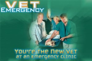 Vet Emergency
