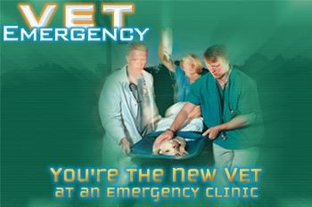 Vet Emergency