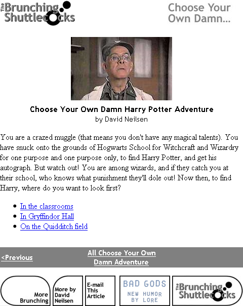 Choose Your Own Damn Harry Potter Adventure