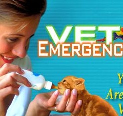 Vet Emergency 2