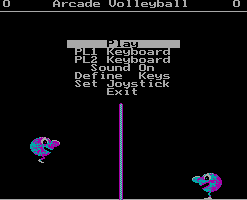 Arcade Volleyball