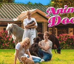 Animal Doctor
