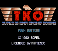TKO Super Championship Boxing