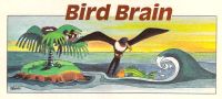 Bird Brain